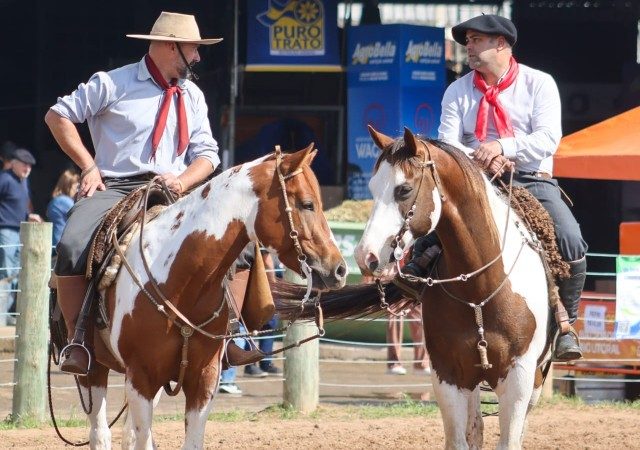 Paint Horse ganha destaque na Expointer com esporte, versatilidade e tradição