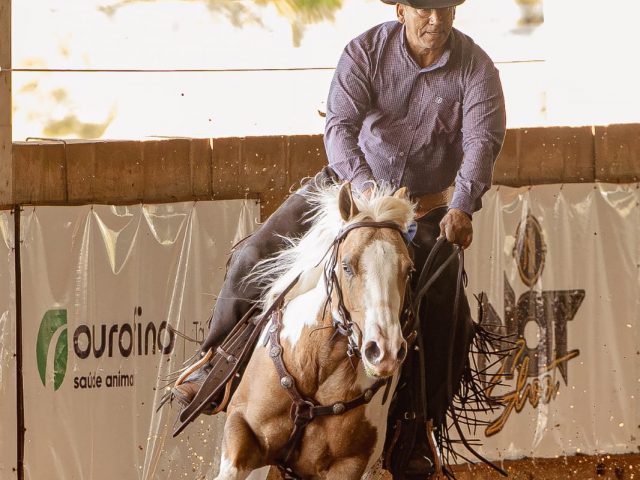 Sweet Little Cat conquista o Campeonato Nacional de Working Cow Horse da ANCH